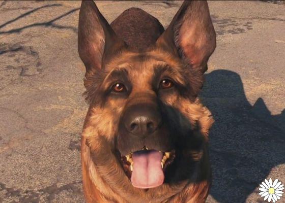 Los perros de la saga Fallout: Albóndiga y su legado